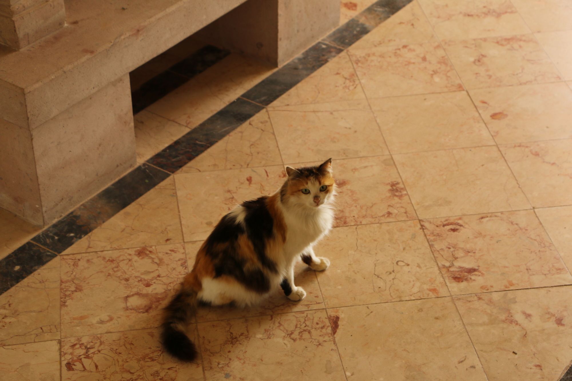 Cunda Sir Hotel Ayvalik Bagian luar foto